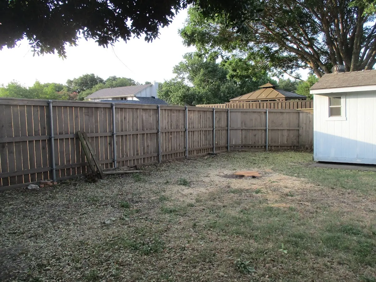Cleared yard after professional tree removal in Charlotte Court House